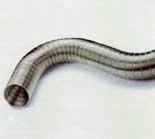 Flex hadica priemer 150mm, dĺžka 3 m